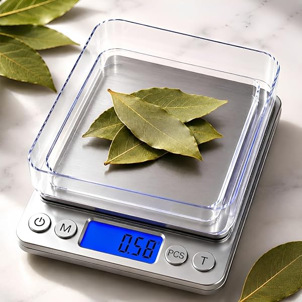 Balança digital de precisão 0,1 g a 2 kg, visor luminoso, com duas bandejas
